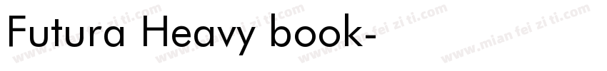 Futura Heavy book字体转换